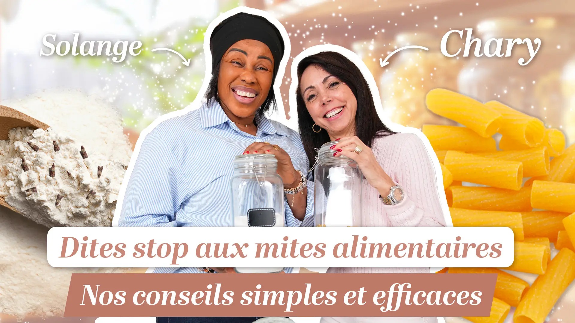 Mites alimentaires : comment éviter leur apparition dans vos placards ?