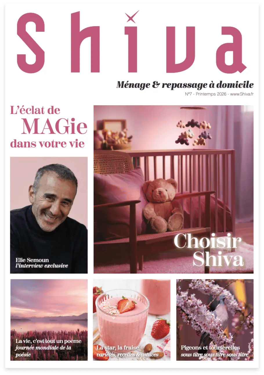 Qu’allez-vous trouver dans ce magazine ?