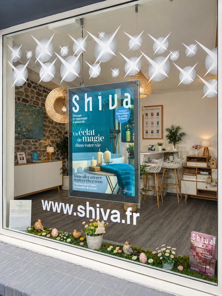 Agence Shiva Ménage Tarbes Lourdes (65290) - Ménage à domicile